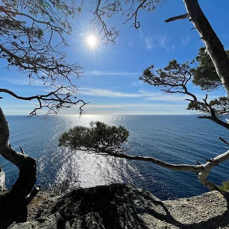Appartement En Residence Privee, Face A La Mer Avec Acces Direct Plage Hyères Kültér fotó