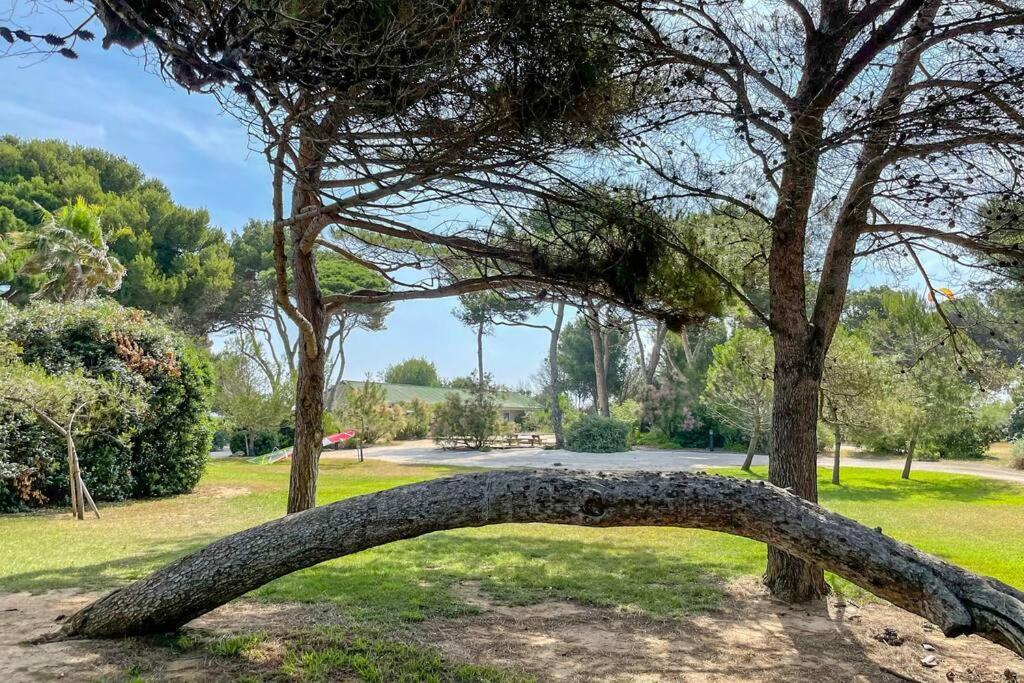 Appartement En Residence Privee, Face A La Mer Avec Acces Direct Plage Hyères Kültér fotó
