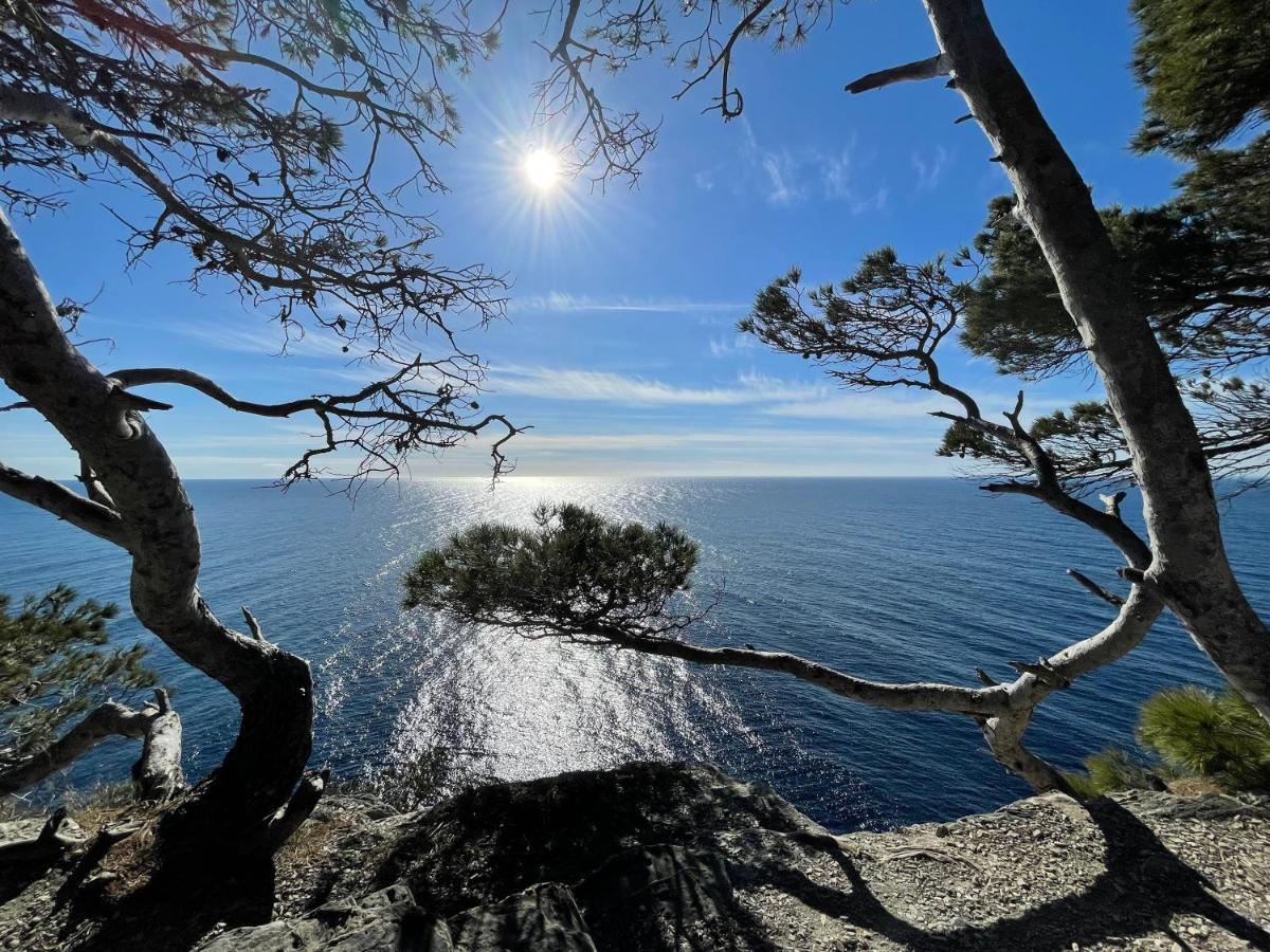Appartement En Residence Privee, Face A La Mer Avec Acces Direct Plage Hyères Kültér fotó